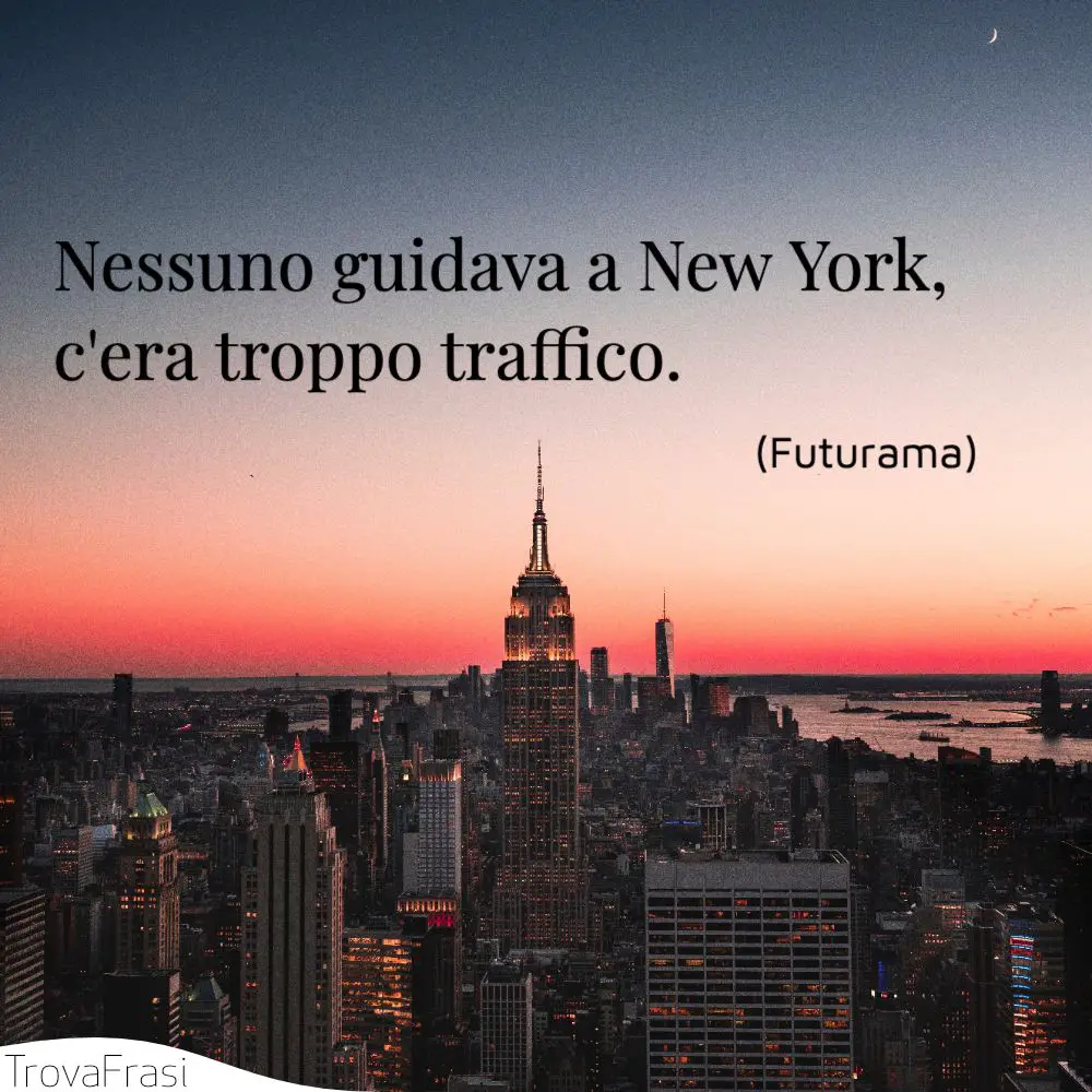 Nessuno guidava a New York, c'era troppo traffico.