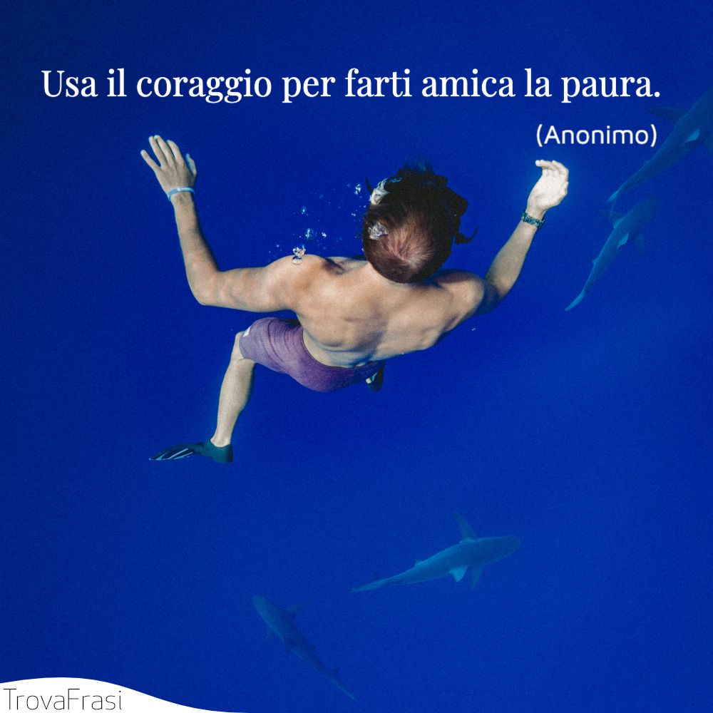 Frasi Sul Coraggio Quando La Paura Rimane Indietro Trovafrasi