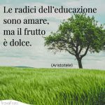 Le Frasi Sulla Scuola E L'importanza Dell'istruzione - TrovaFrasi