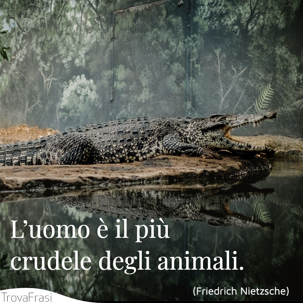 Frasi Sugli Animali E Il Rispetto Della Loro Vita Trovafrasi