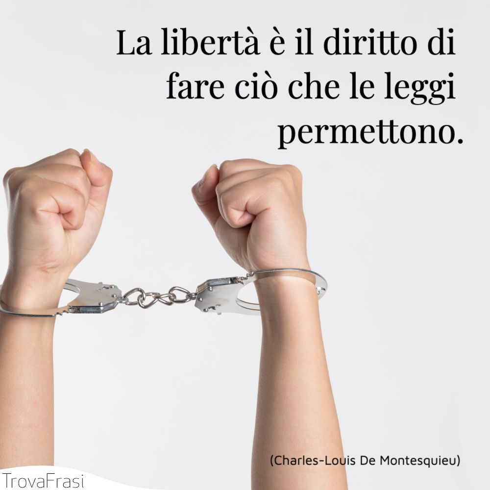 Frasi Sui Diritti Umani E Le Liberta Intoccabili Trovafrasi