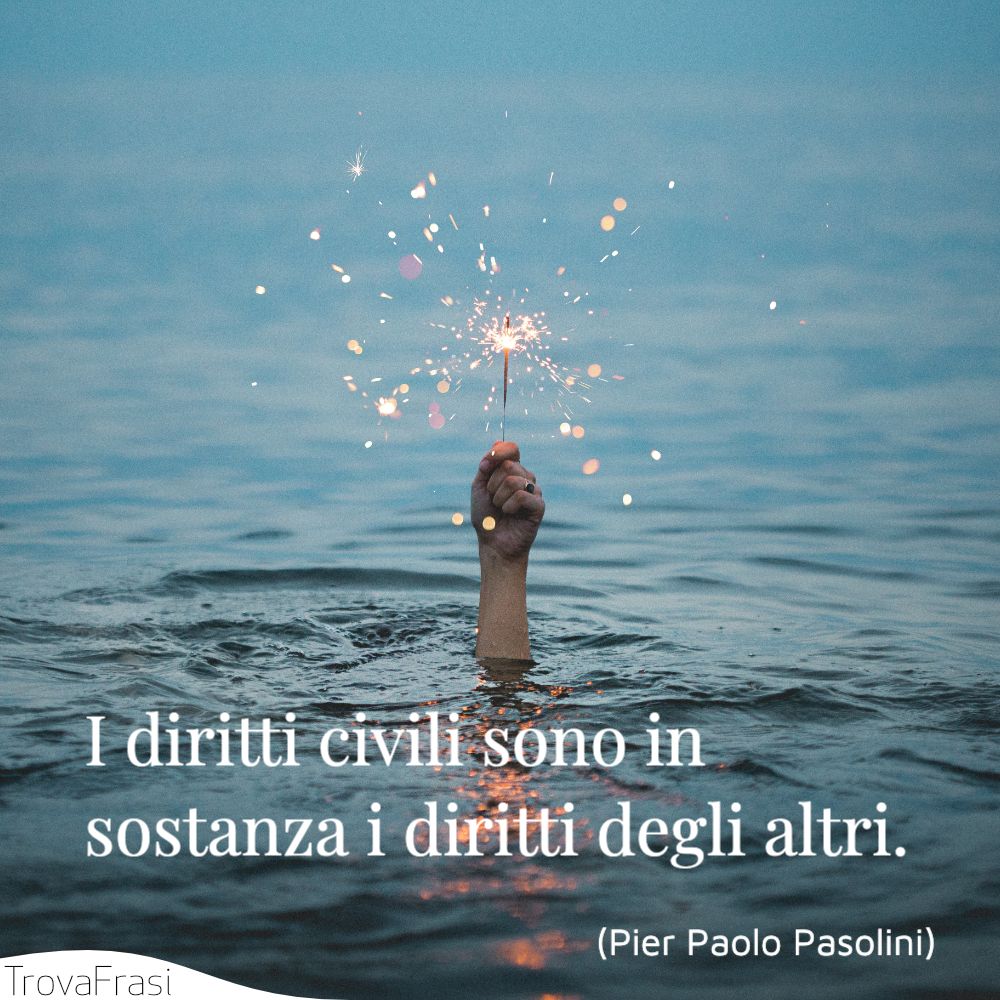 Frasi Sui Diritti Umani E Le Liberta Intoccabili Trovafrasi