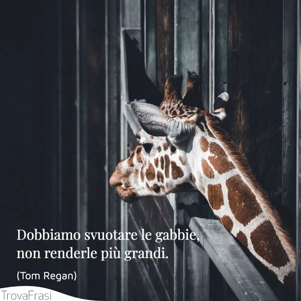 Frasi Sui Diritti Degli Animali Difendere I Nostri Amici A 4 Zampe Trovafrasi