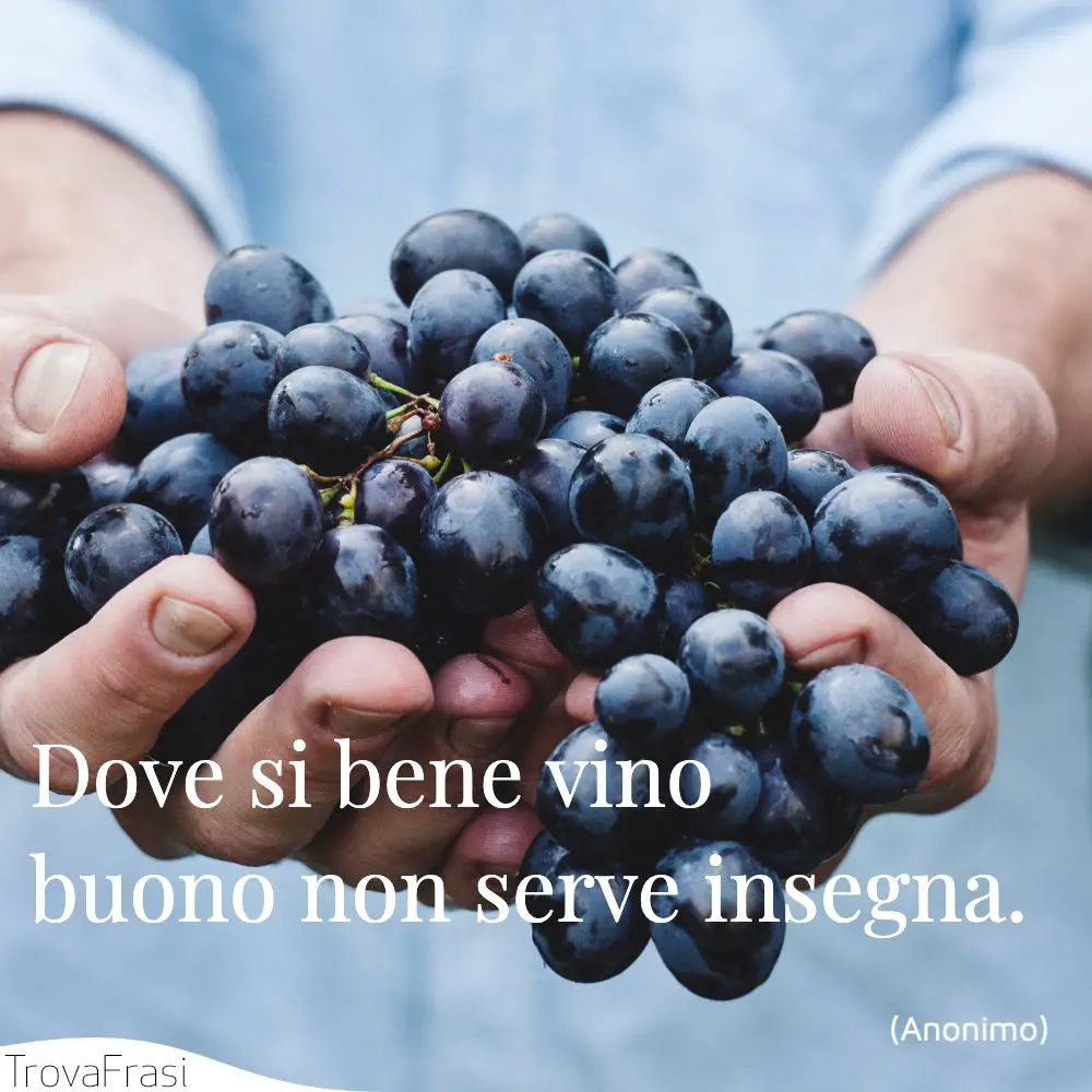 Frasi sul vino: la bevanda che mette tutti d'accordo - TrovaFrasi