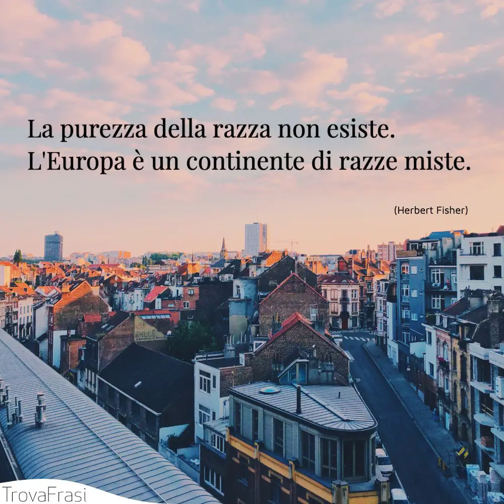 La purezza della razza non esiste. L'Europa è un continente di razze miste.