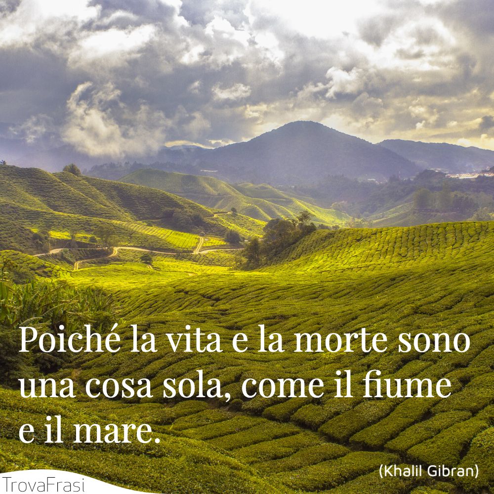 Frasi Sull Asia Multiculturale Spirituale Trovafrasi