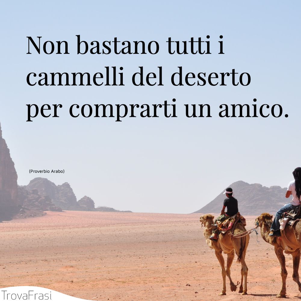 Non bastano tutti i cammelli del deserto per comprarti un amico.