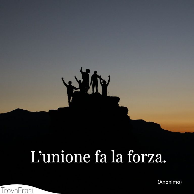 Frasi Sul Lavoro Di Squadra And Limportanza Del Team Trovafrasi 0166