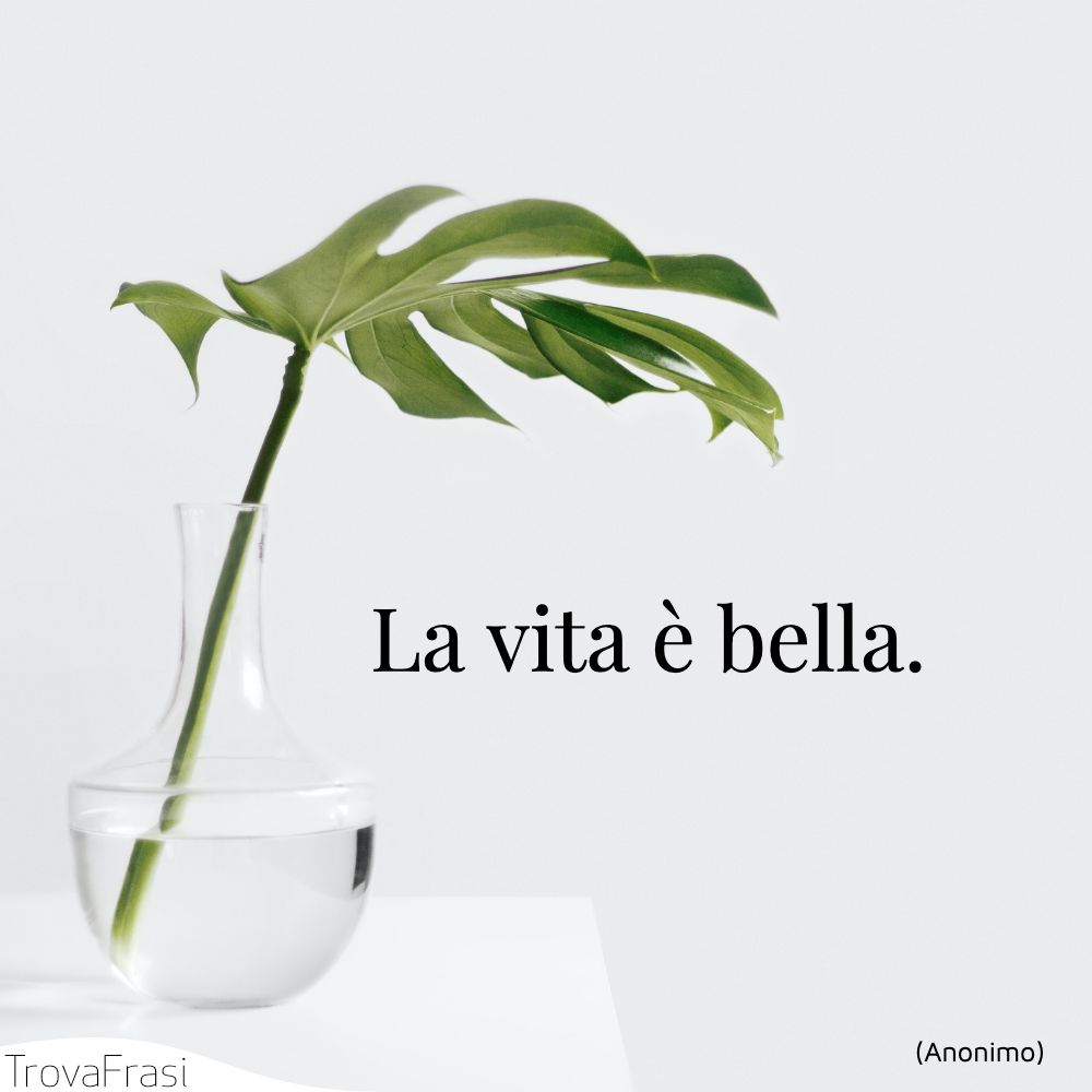 La vita è bella.