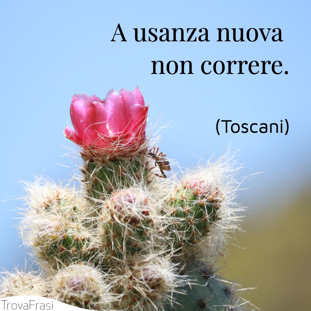 A usanza nuova non correre.