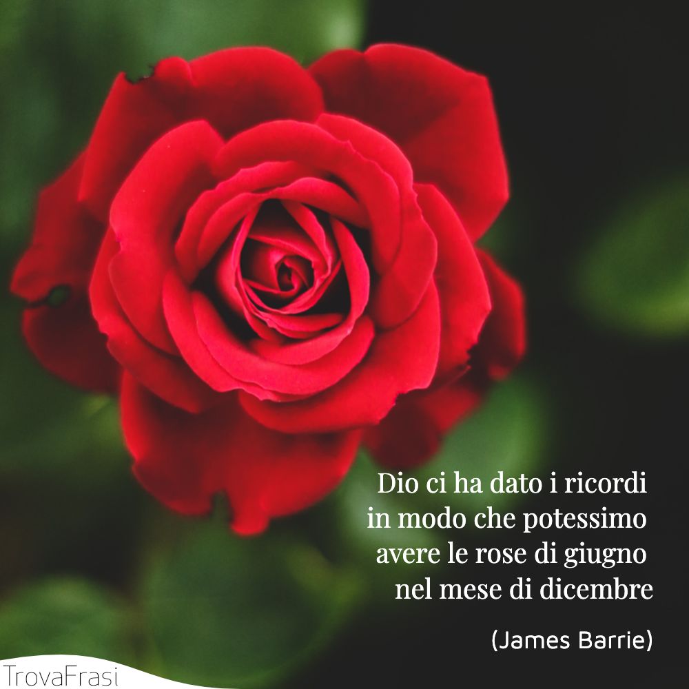 Dio ci ha dato i ricordi in modo che potessimo avere le rose di giugno nel mese di dicembre